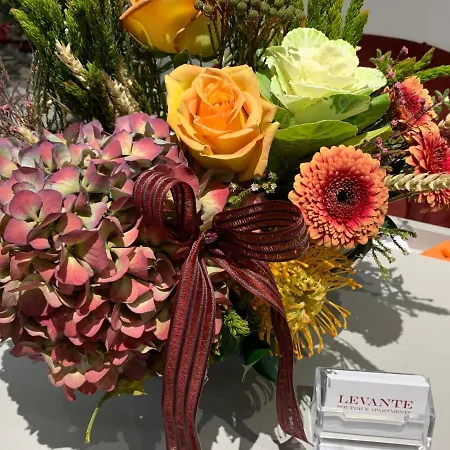 Levante 4* Ларнака